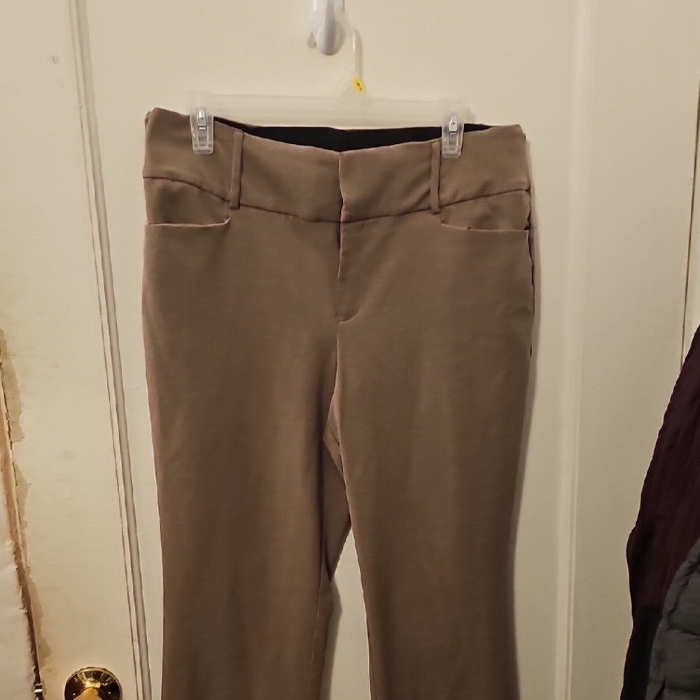 Apt. 9 Women's Tan Boot Cut Pants